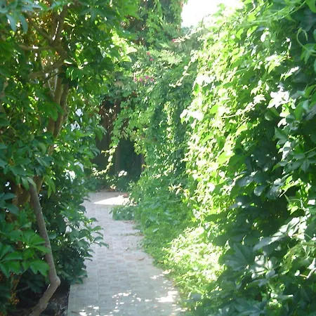 아파트 Kiveli